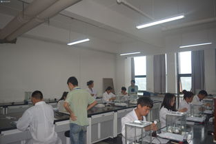 輕工化工系工業(yè)分析與檢驗(yàn)技能大賽決賽圓滿(mǎn)落幕，展現(xiàn)生物化工產(chǎn)品技術(shù)研發(fā)新風(fēng)采